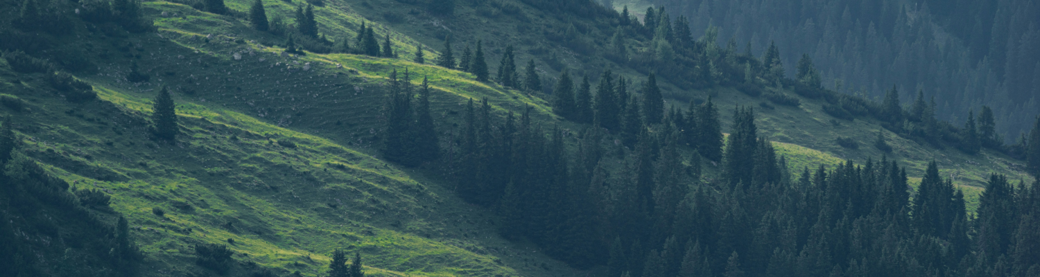 header