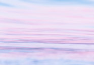 header