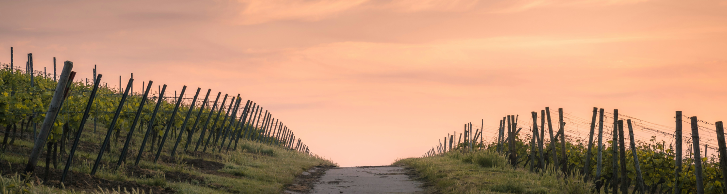 header