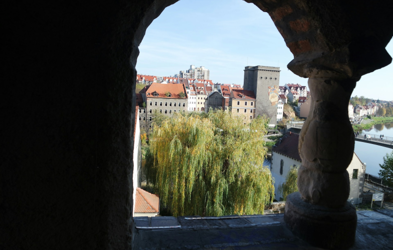 Pflegewissenschaft in Görlitz