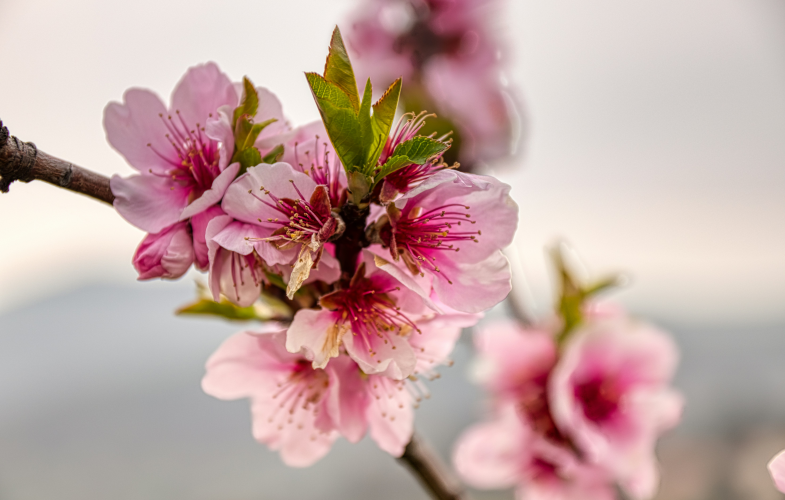 Finance Officer in Edenkoben