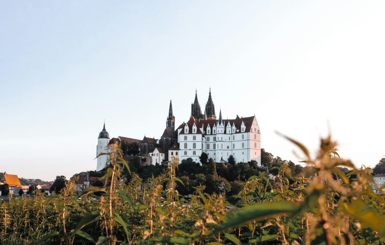 Advanced Management in Meißen