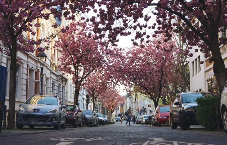 Netzwerksicherheit in Bonn