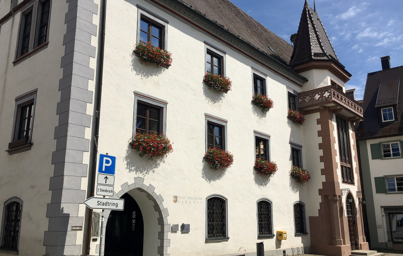 User Interface Design in Riedlingen