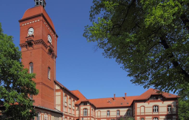 Therapiewissenschaften in Neuruppin