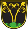 Traunstein coat of arms