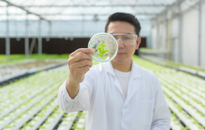 Food Technology study programs