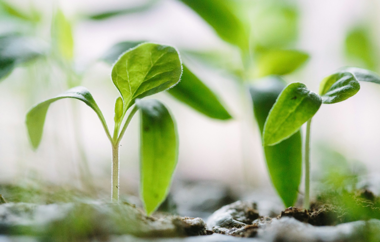 Sustainable Management in Nuremberg: Deadlines