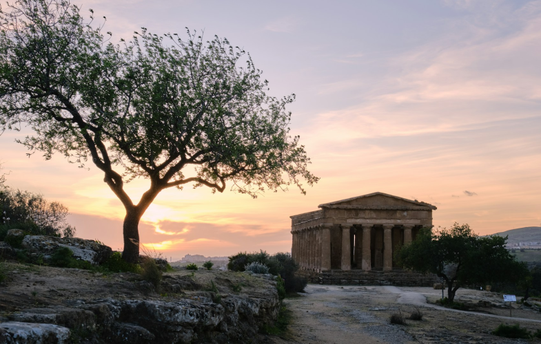 Ancient Cultures Top Programs