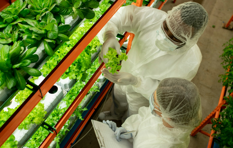 Agrar- und Gartenbauwissenschaften in Gießen: Bewerbungsfristen