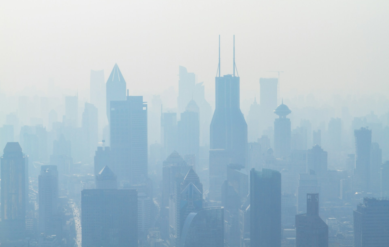 Environmental Toxicology in Landau: Deadlines
