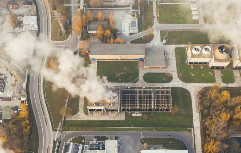 Environmental Toxicology study programs