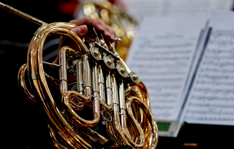 Horn-Studiengänge