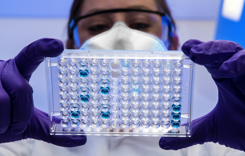 Immunology in Erlangen: Deadlines