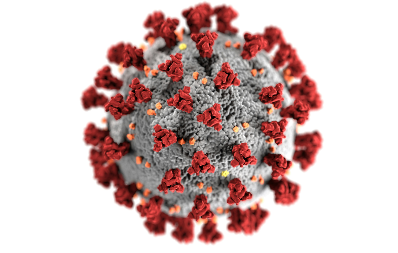Immunologie-Studiengänge