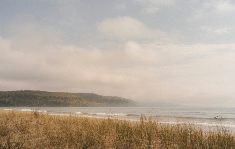 Baltic Studies Deadlines