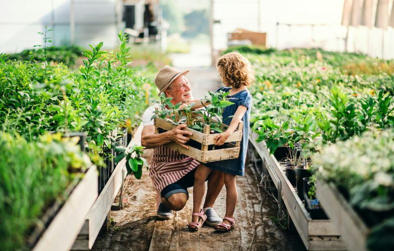 Agri-Food Systems Top Programs