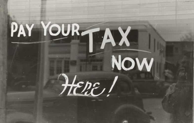 Taxation study programs