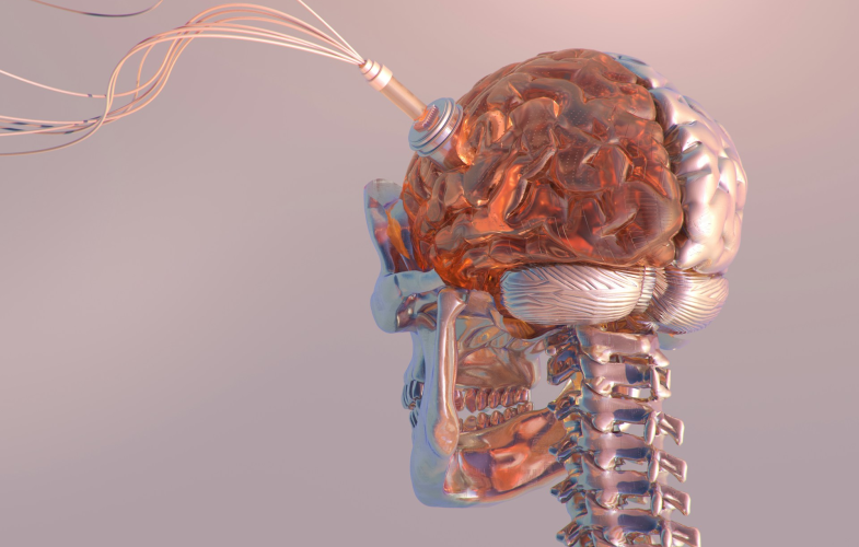 Medical Engineering Science study programs