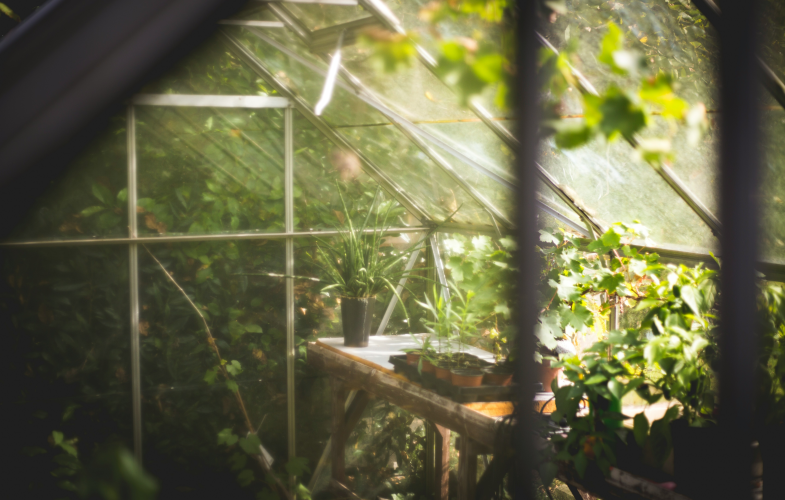 Horticultural Sciences Numerus Clausus