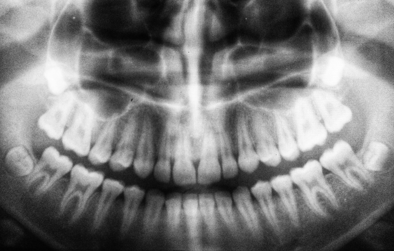 Dental Technology study programs