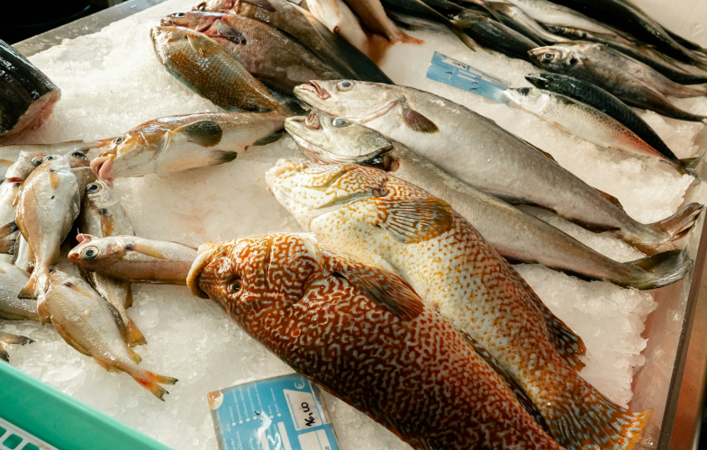 Fisheries Science admission-free programs