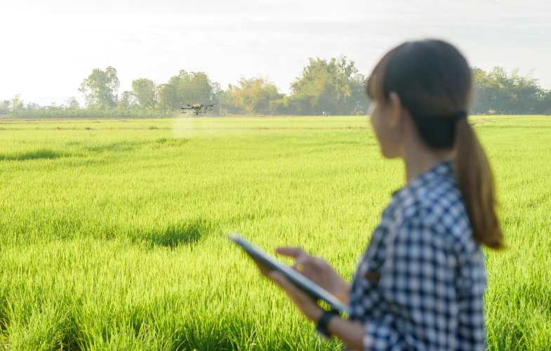 Food Science study programs