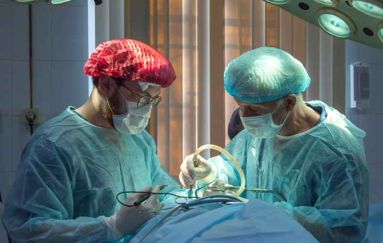 Medical Neurosciences study programs