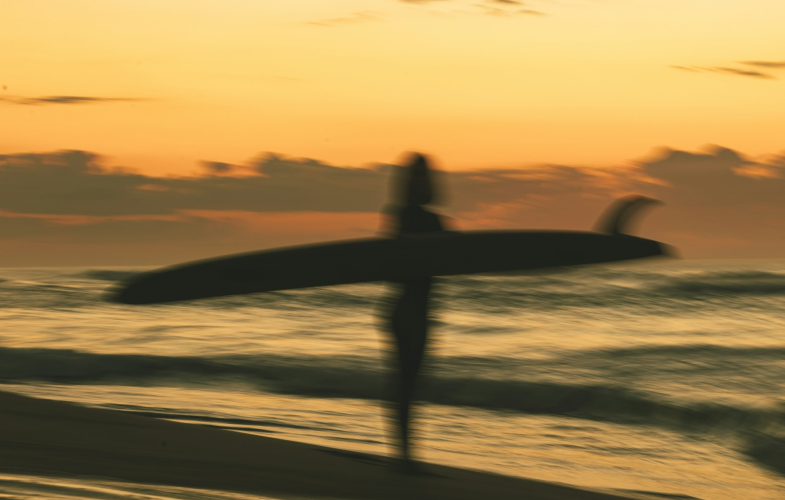 Physical Activity and Health study programs