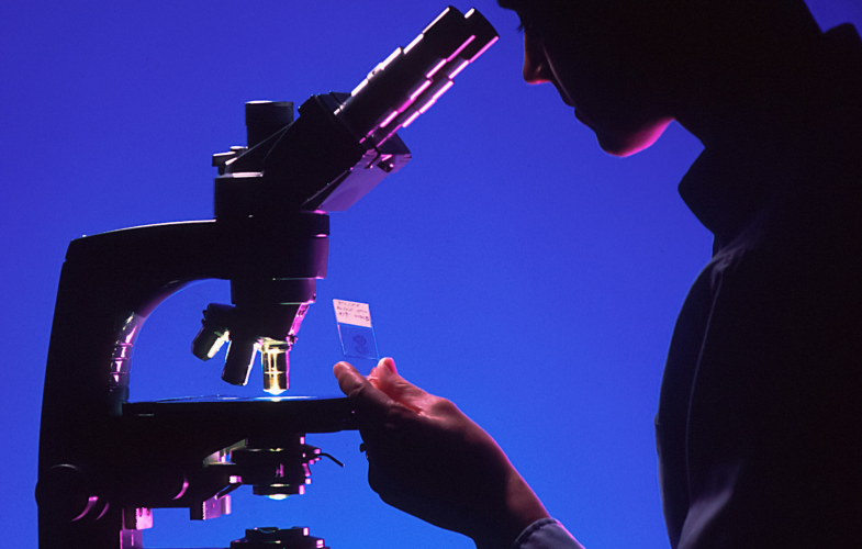 Applied Natural Science admission-restricted programs