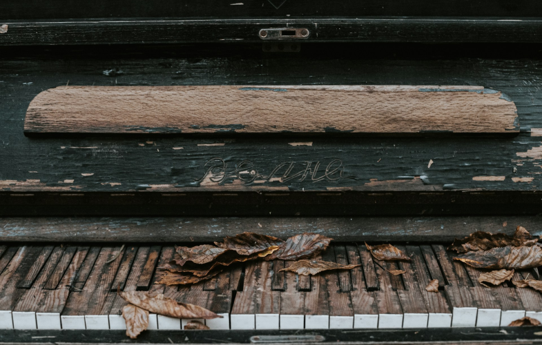 Ethnomusicology Master Programs