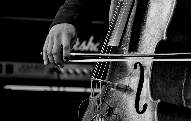 Violoncello-Studiengänge