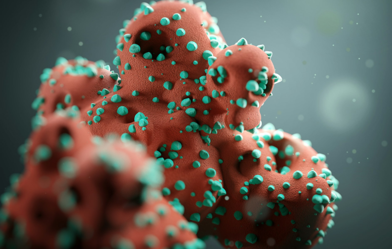 Infectious Diseases and One Health Deadlines