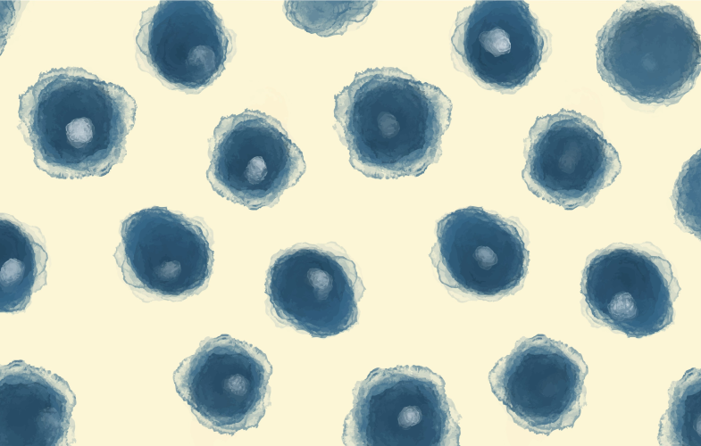 Nanomedicine Technology study programs
