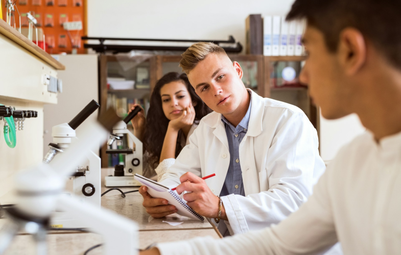 Biologie - Lehramt Oberschule Bewerbungsfristen
