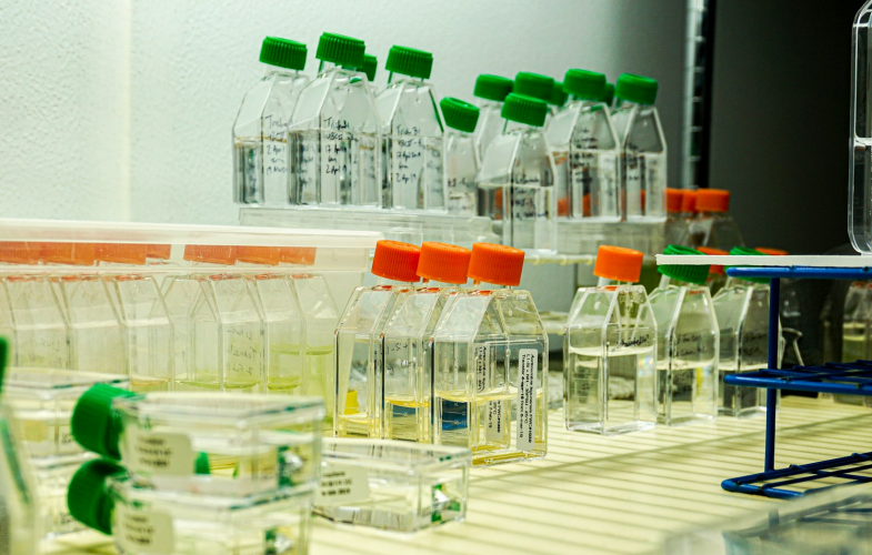 Biosciences in Kassel: Deadlines