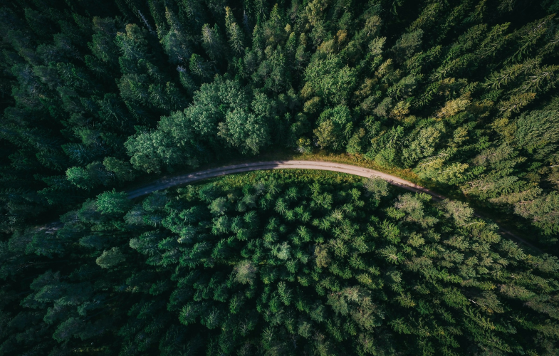 MBA in Sustainability study programs