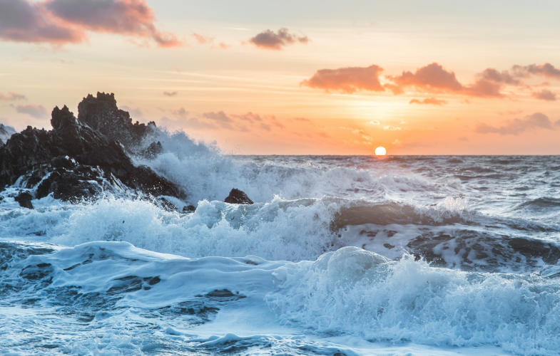 Oceanography study programs