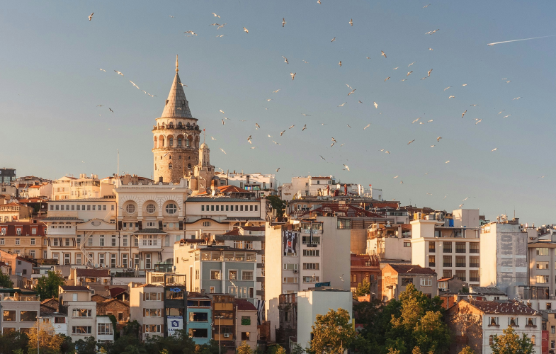 Turkish Studies study programs