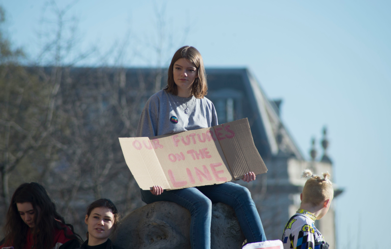Democracy Studies study programs