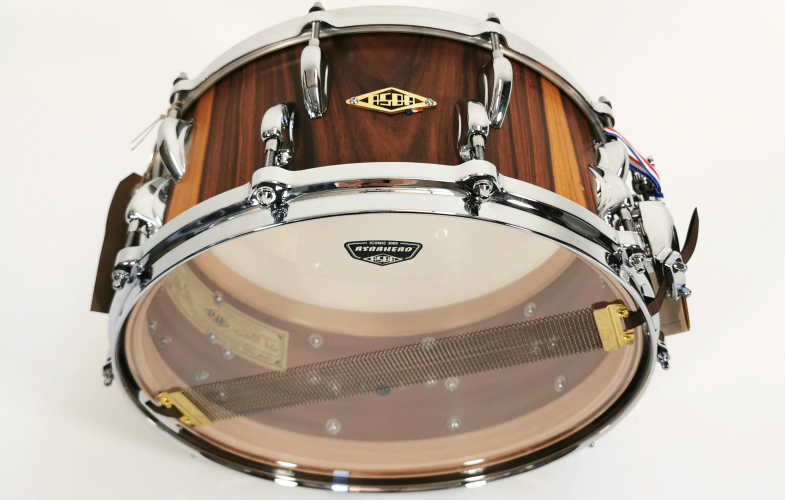 Percussion study programs