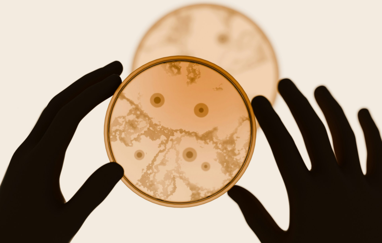 Biotechnology - Dual Studies study programs