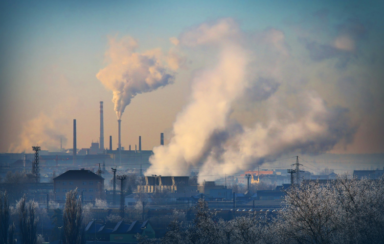 Environmental Studies in Landau: Deadlines