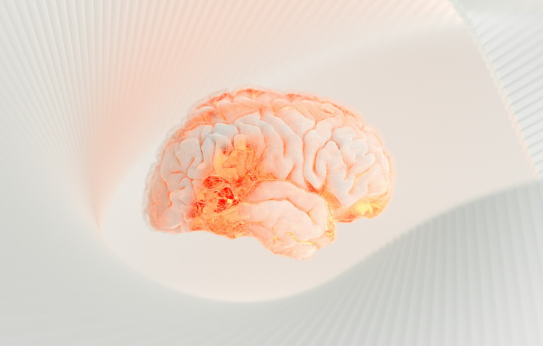 Charité: Neurology