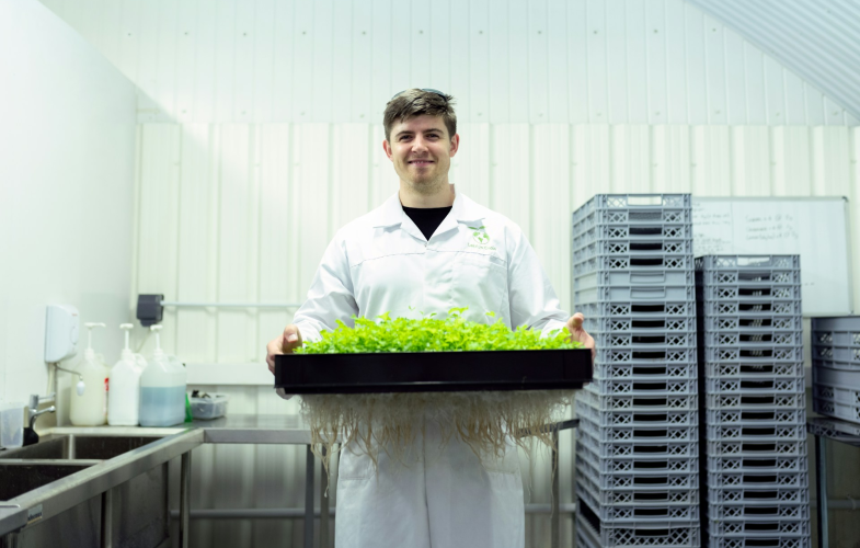 Global Production Engineering in Berlin: Bewerbungsfristen