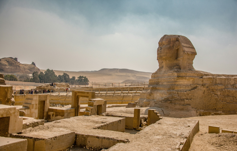 Archaeology study programs
