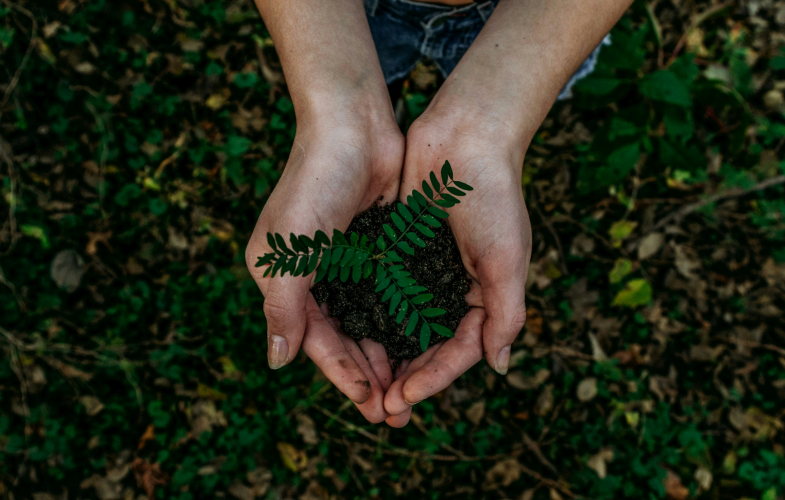 Sustainability Management in Mainz: Deadlines