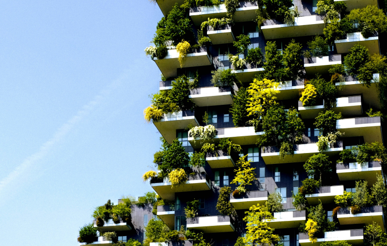Sustainability Management study programs