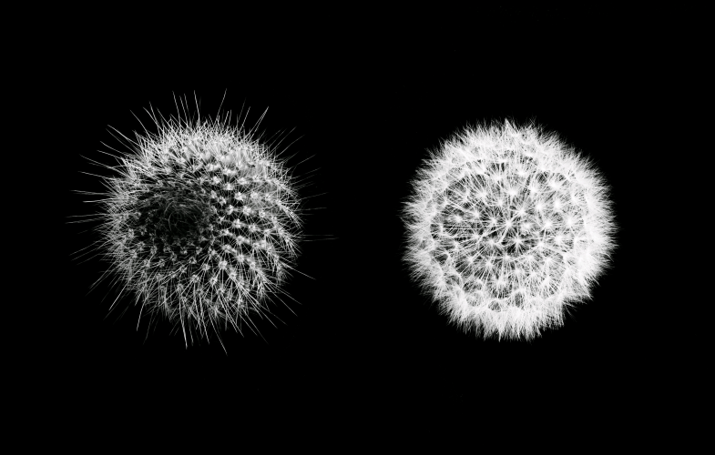 Applied Biology study programs