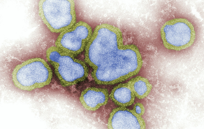 Epidemiologie Bewerbungsfristen